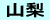 山梨